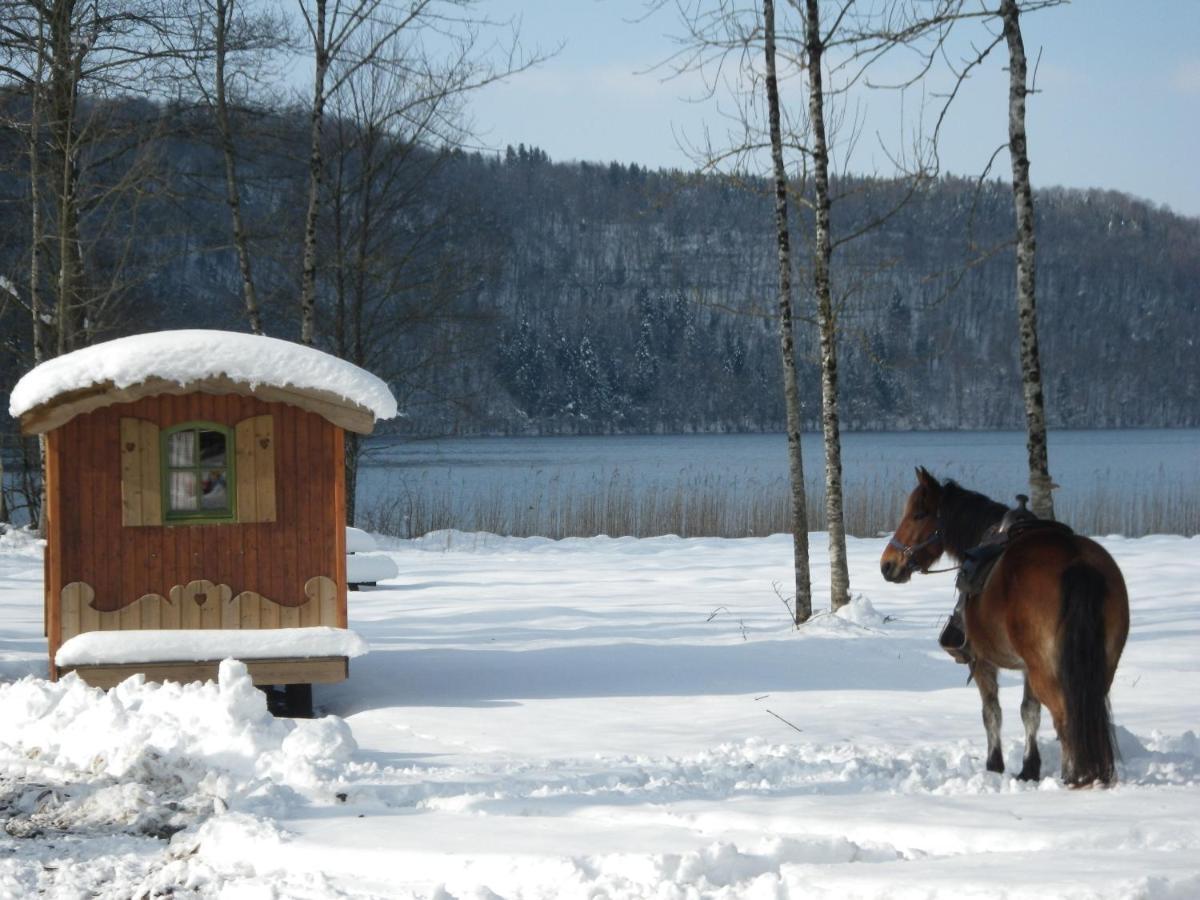 Parc Animalier Du Herisson Doucier Exterior foto