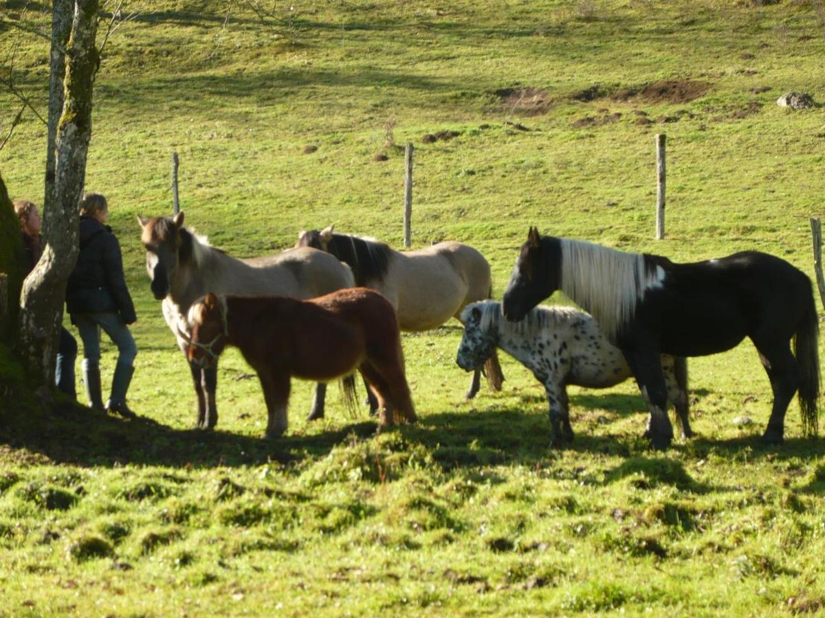 Parc Animalier Du Herisson Doucier Exterior foto