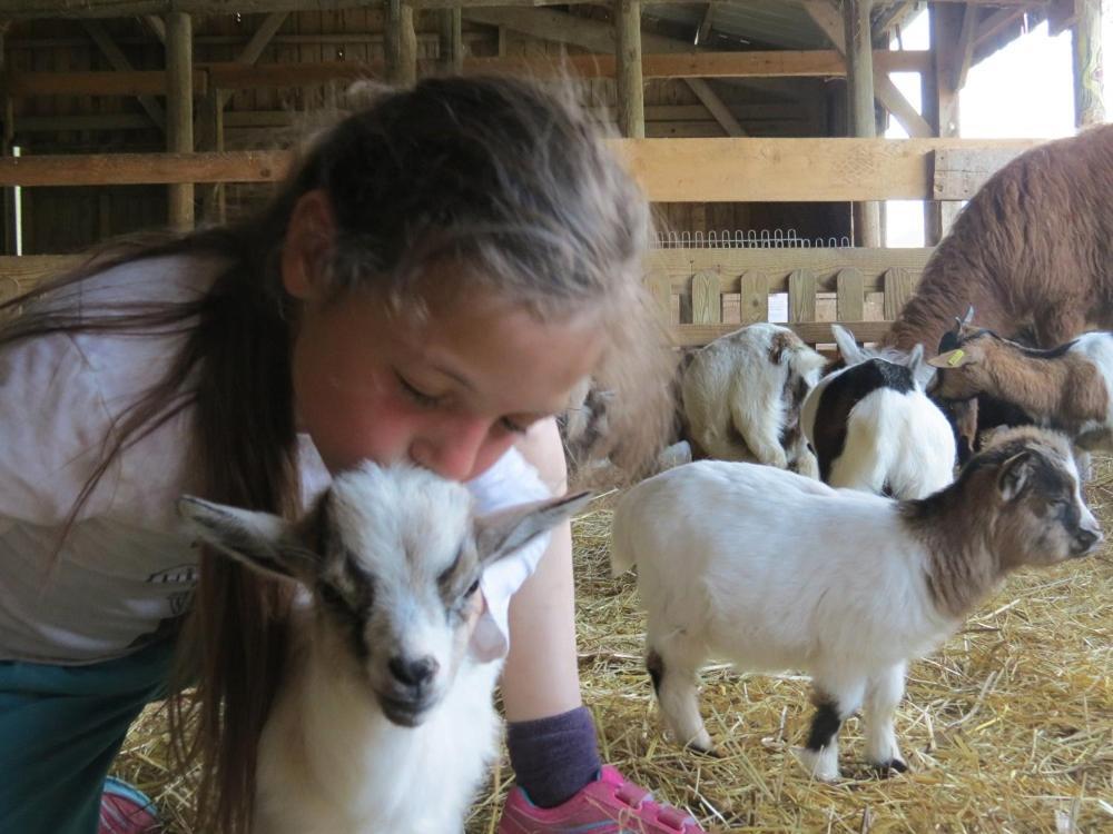 Parc Animalier Du Herisson Doucier Exterior foto