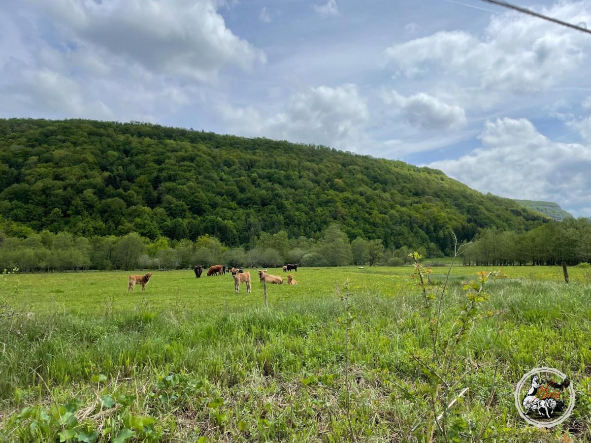 Parc Animalier Du Herisson Doucier Exterior foto