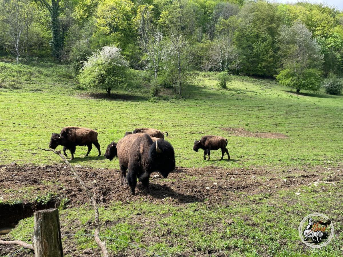 Parc Animalier Du Herisson Doucier Exterior foto